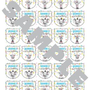 Birthday Party Favor Labels Set of 30