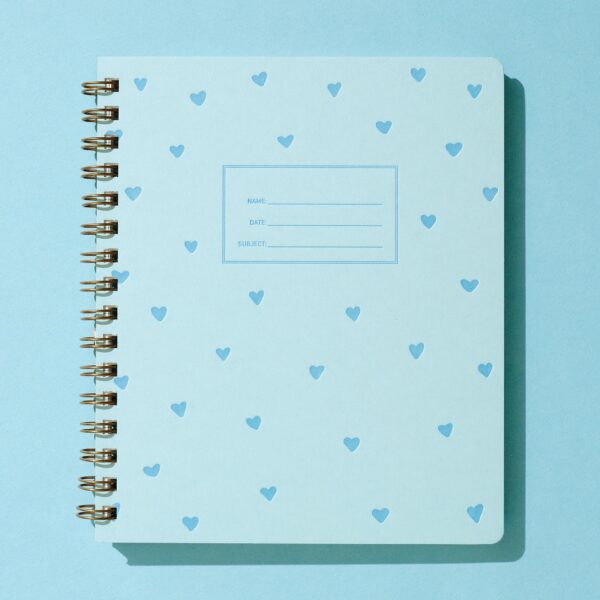 Blue Hearts Journal