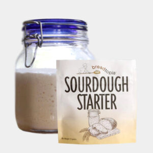 Bread Starter