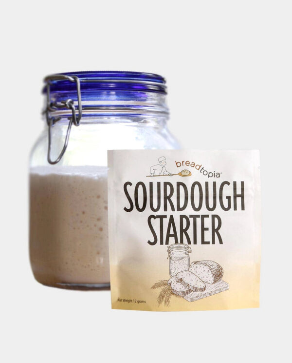 Bread Starter
