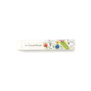 Color Pencil Eraser