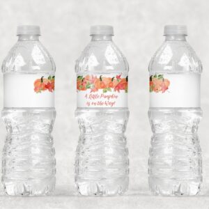 Baby Shower Water Bottle Labels - Fall Theme Set of 11